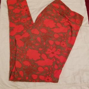 Lularoe TC leggings EUC